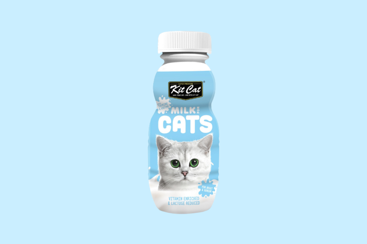 leche natural sin lactosa para gatos kit cat